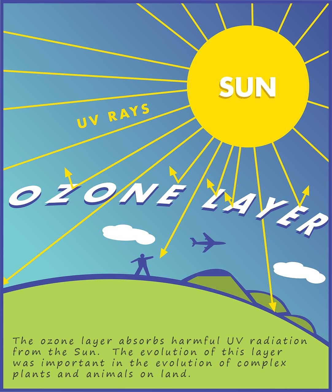 Ozone layer protects living organisms from harMful UV radiation